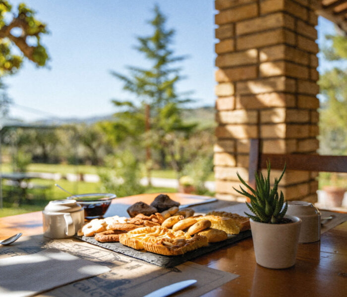 Colazione Agriturismo il Cicaleto gallery (2)