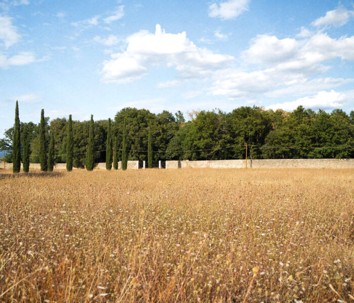 Parco Agriturismo il Cicaleto gallery (3)