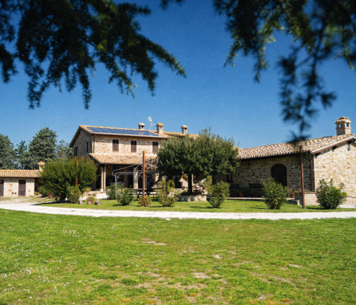 Struttura Agriturismo il Cicaleto gallery (8)